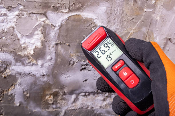 Sistersville, WV Mold Removal Company
