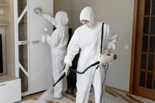 Best Commercial Mold Removal  in Sistersville, WV